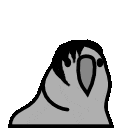 :coolsaetparrot: